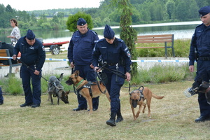 Przewodnicy psów policyjnych wraz z psami podczas pokazu