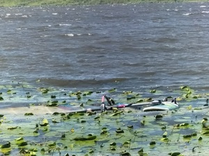 deska windsurfingowa leząca w na wodzie wśród zarośli wodnych