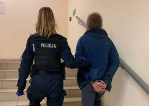 policjantka prowadzi zatrzymanego po schodach - widok z tyłu