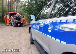 Strażacy i policjanci w lesie podczas poszukiwań zaginionej osoby