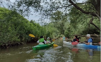 Osoby w kapokach siedzące w kilku kajakach na rzece