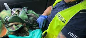 policjant trzyma na kolanach kota owiniętego w koc