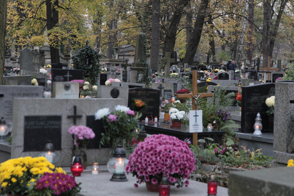 widok na cmentarz