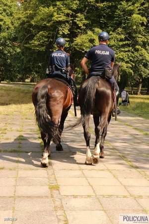 Zdjęcia z festynu na terenie Agrykoli w Warszawie - święto Policji 2023