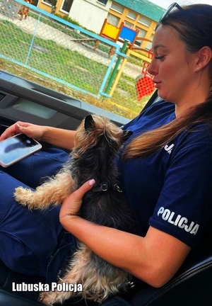 policjantka trzyma na kolanach uratowanego psa