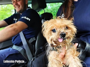policjanci z uratowanym psem w samochodzie