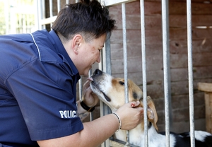 policjantka głaszcze psa znajdującego się za kratami kojca