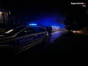 policyjny radiowóz, a w tle pojazd pożarniczy i miejsce pożaru