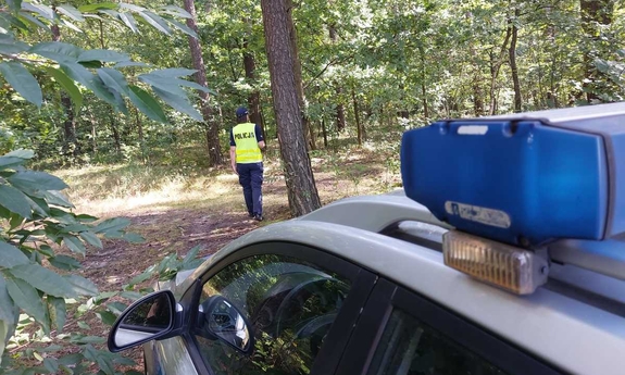 Na zdjęciu w tle policjant w umundurowaniu służbowym w trakcie poszukiwań na terenie kompleksu leśnego, na pierwszym planie radiowóz oznakowany