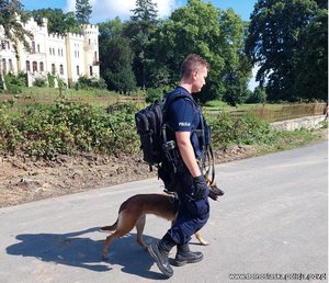 Policjant z psem służbowym