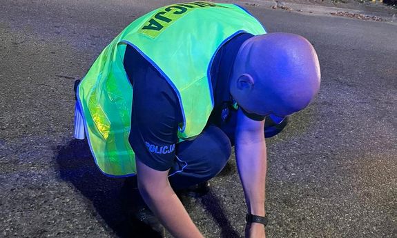 Policjant pomaga jeżowi dostać się na drugą stronę ulicy