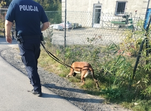 Policjant z psem służbowym