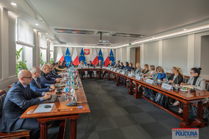 Uczestnicy spotkania Współpraca szkoleniowa krajowych organów ściągania, Urzędu do Spraw Cudzoziemców oraz Interpolu, UNHCR i IOM w zakresie PSEA