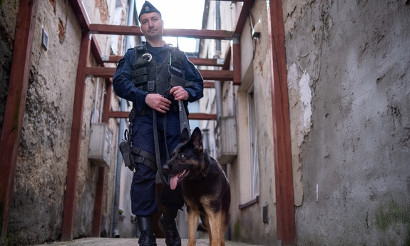 policjant z psem służbowym na smyczy