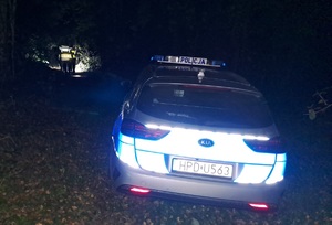 na pierwszym planie radiowóz policyjny na drodze leśnej, w tle policjanci z latarkami