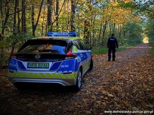 Radiowóz w lesie a przed nim stojący policjant patrzący w głąb lasu