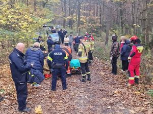 Na leśnej drodze stoją policjanci i strażacy