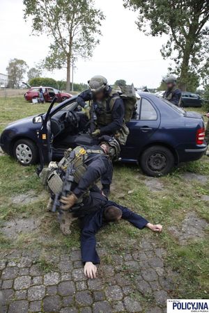Policyjni kontrterroryści z granatowego samochodu wyciągają mężczyznę ubranego w granatową kurtkę