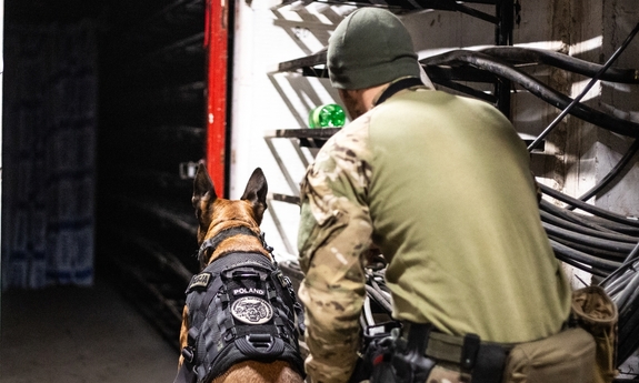 policjant z psem w trakcie ćwiczeń