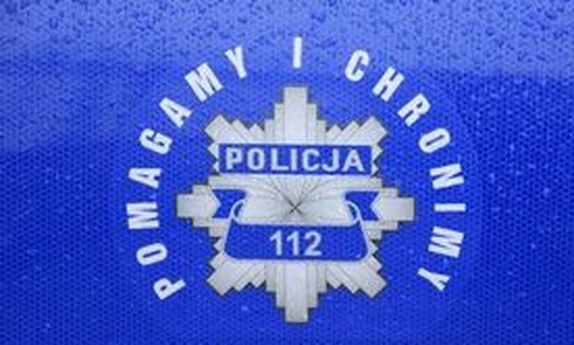 logo Pomagamy i chronimy