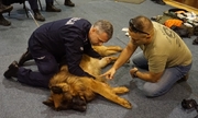 instruktor z policjantem w trakcie szkolenia z psem leżącym na podłodze