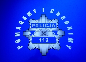 logo Pomagamy i chronimy