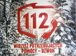 Zdjęcie lasu i grafika 112