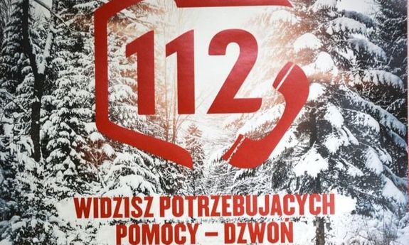 Zdjęcie lasu i grafika 112