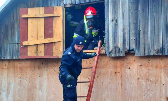 policjant na drabinie opartej o budynek