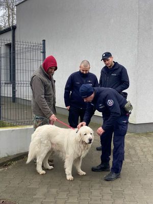 mężczyzna trzyma na smyczy owczarka podhalańskiego. Obok stoją trzej umundurowani policjanci. Jeden z nich głaszcze psa