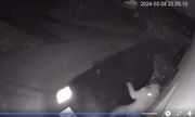 Pora nocna. stop klatka z nagrania monitoringu na którym widać jak kierujący autem wjeżdża w znajdujące się przy budynku osoby