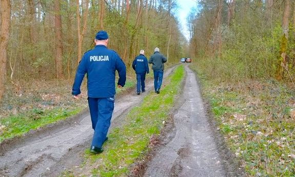 droga w lesie, idą nią policjanci