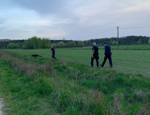 trzech policjantów idzie przez pole. jeden z nich ma psa służbowego