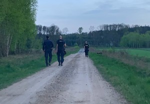 policjanci idą drogą