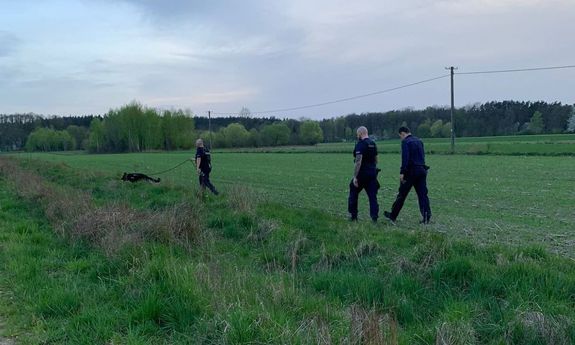 trzech policjantów idzie przez pole. jeden z nich ma psa służbowego