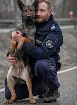 przewodnik policyjny przytula swojego psa służbowego