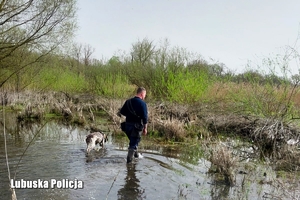 policjant z psem idą przez kałuże