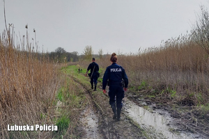 policjanci idą przez las