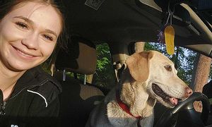 kobieta z psem w samochodzie