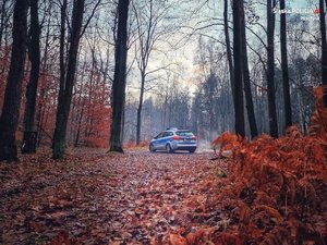 policyjny radiowóz zaparkowany przy drodze w lesie