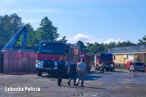 Policjant idzie w kierunku pojazdów służbowych