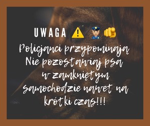 grafika z napisem, że psów nie można zostawiać w samochodzie