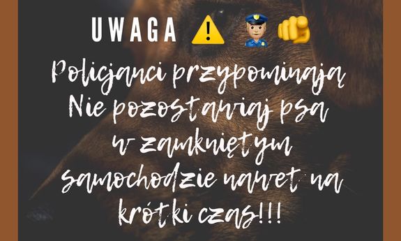 grafika z napisem, że psów nie można zostawiać w samochodzie