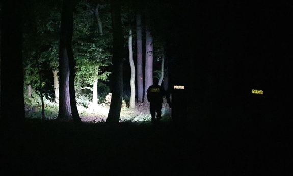 na zdjęciu umundurowani policjanci podczas nocnych poszukiwań w lesie