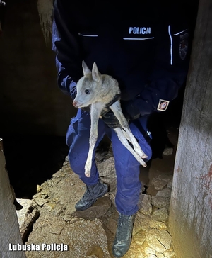 policjant trzyma na rękach małego daniela