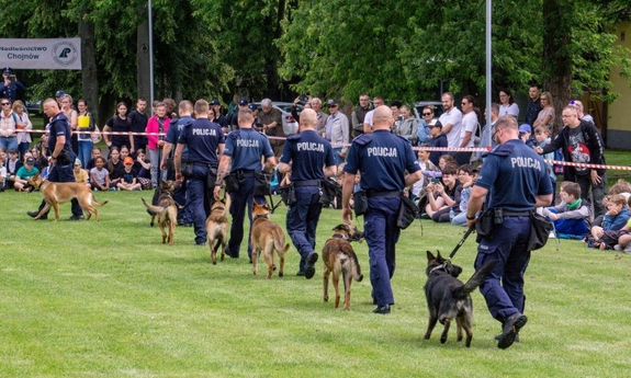 grupa policjantów prowadzących psy policyjne na smyczy