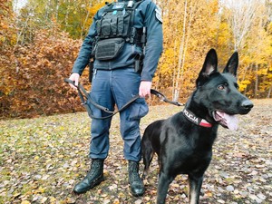 Policjant z psem służbowym