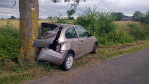 auto, które tyłem uderzyło w drzewo