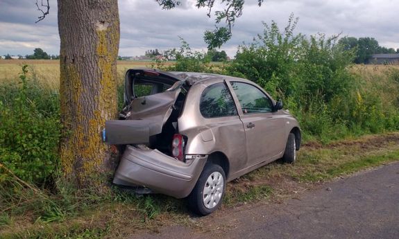 auto, które tyłem uderzyło w drzewo
