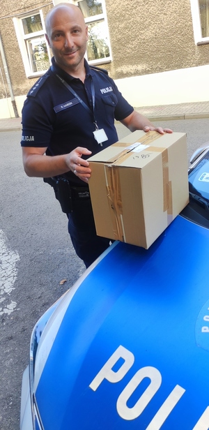 policjant trzyma w rękach karton, postawiony na masce radiowozu policyjnego